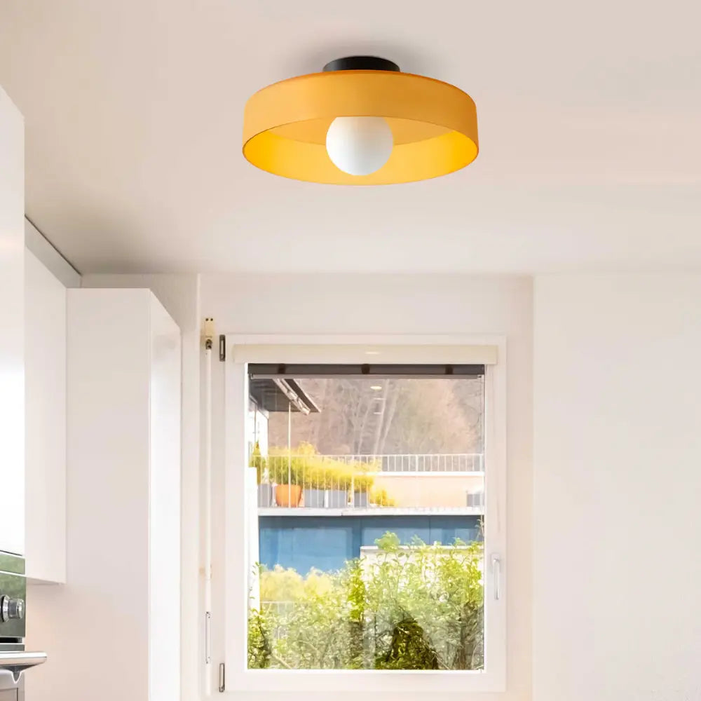 Elara Modern Disc Wall Lamp With Bold Color Accents