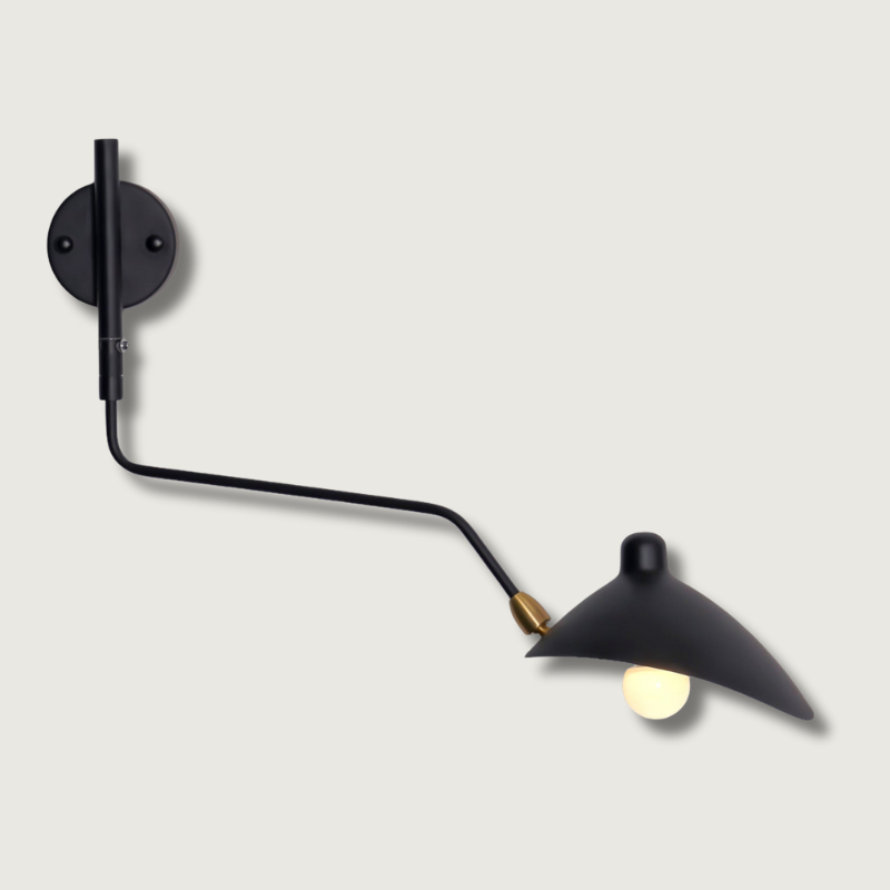 LumenaLuxe Dual-Arm Wall Lamp For Flexible Lighting