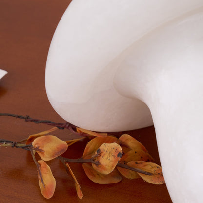 AuroraMoss Mushroom Alabaster Table Lamp With Warm Glow