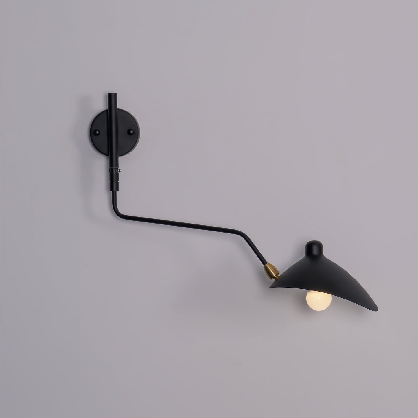 LumenaLuxe Dual-Arm Wall Lamp For Flexible Lighting
