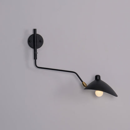 LumenaLuxe Dual-Arm Wall Lamp For Flexible Lighting
