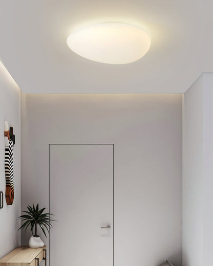 Novara | Energy-Efficient LED Ceiling Light in PE & Metal